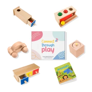Baby Learning Toys Subscription | Wooden Toys For 12 Month Old