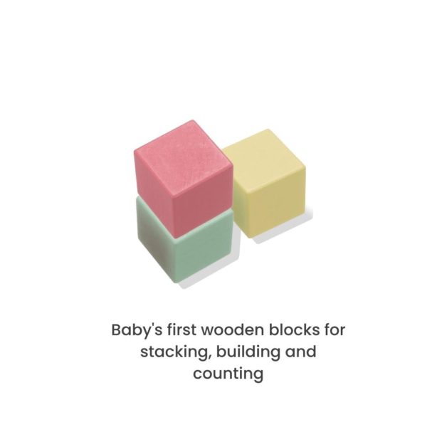 wooden blocks in Subscription Toys For Babies